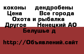 коконы    дендробены › Цена ­ 25 - Все города Охота и рыбалка » Другое   . Ненецкий АО,Белушье д.